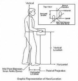 Poorly Designed Work Stations Top List of Ergonomics Hazards - OHS Insider